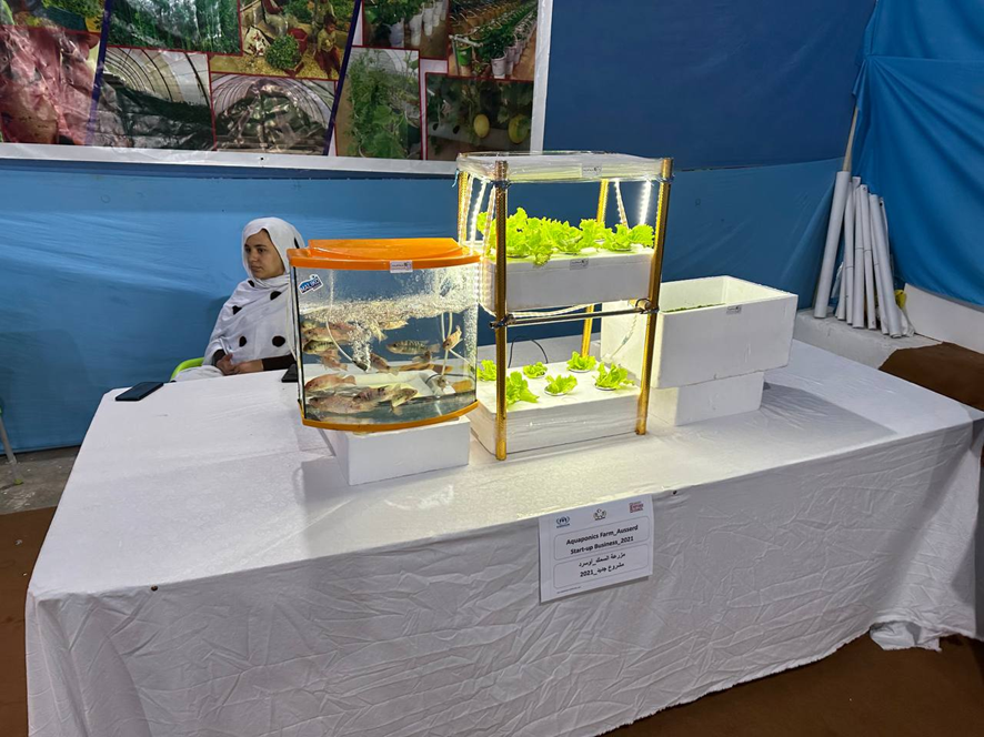 photonersURJC's tweet photo. Saharawi have successful experience in aquaponics. Galia Badad showed us their successful initiative in Ausserd funded by the Ministry of Youth. They are selling vegetables and fish and are very good showing their initiative! https://t.co/BEJ0LiIeK3