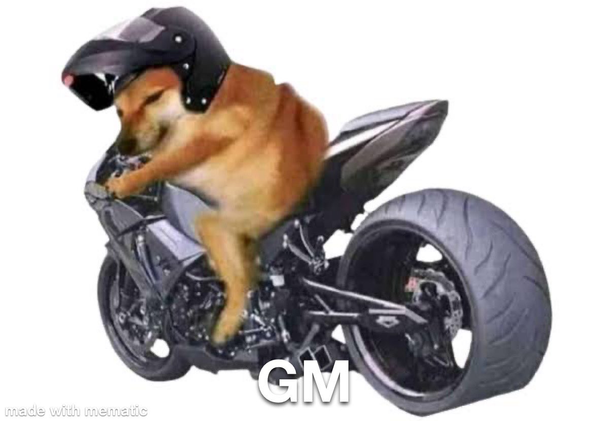 LordCheems_bsc's tweet photo. GM

Let’s take a ride 🏍️ https://t.co/MicT8OyM4Q