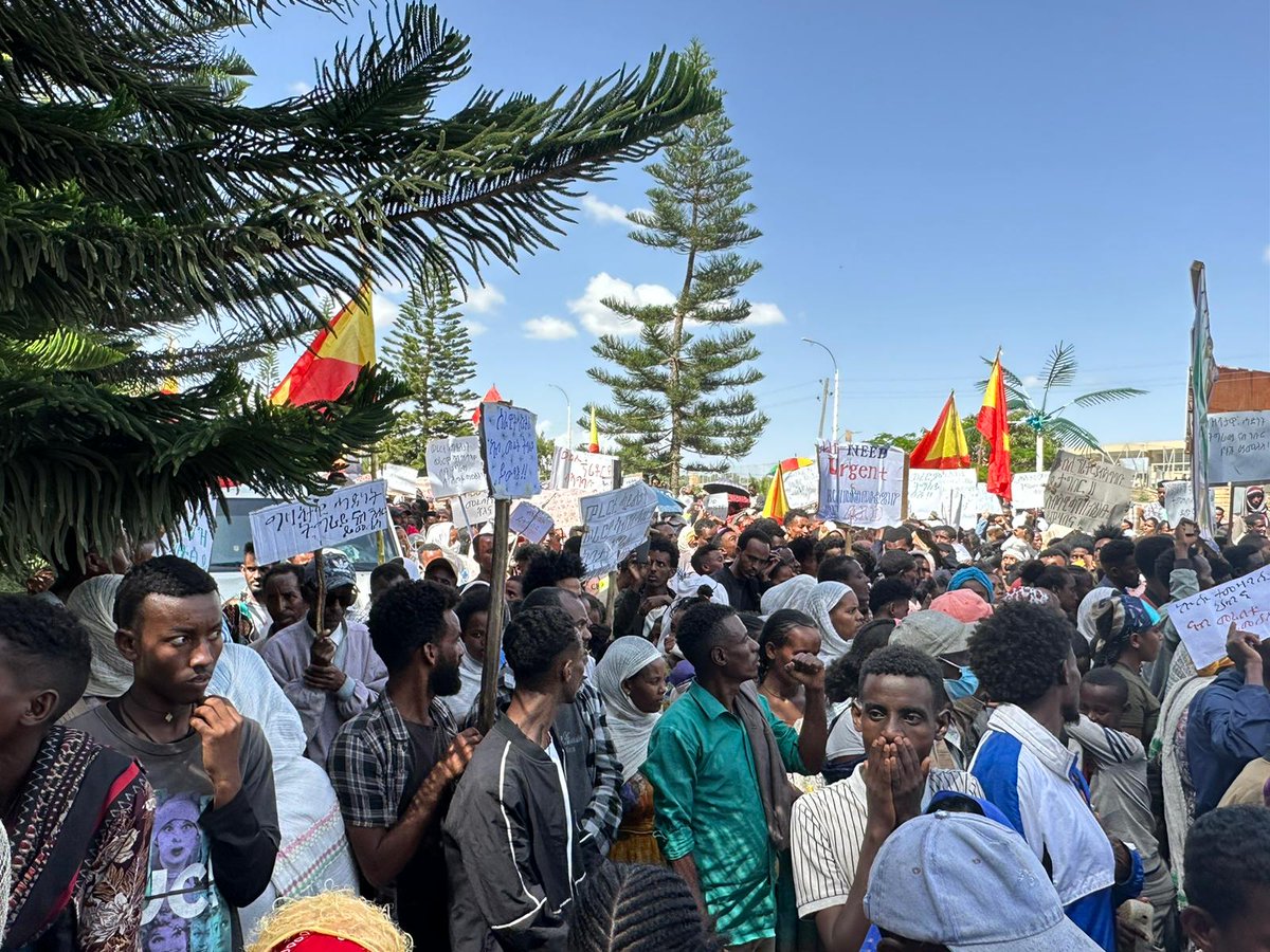 Haphtom's tweet photo. Happening now, #Mekelle, #Tigray. 

#ናብ_መረበትና_ምለሱና

#ReturnTegaruIDPs 

#EritreaOutOfTigray 

#AmharaOutOfTigray https://t.co/9bcpeBKItp