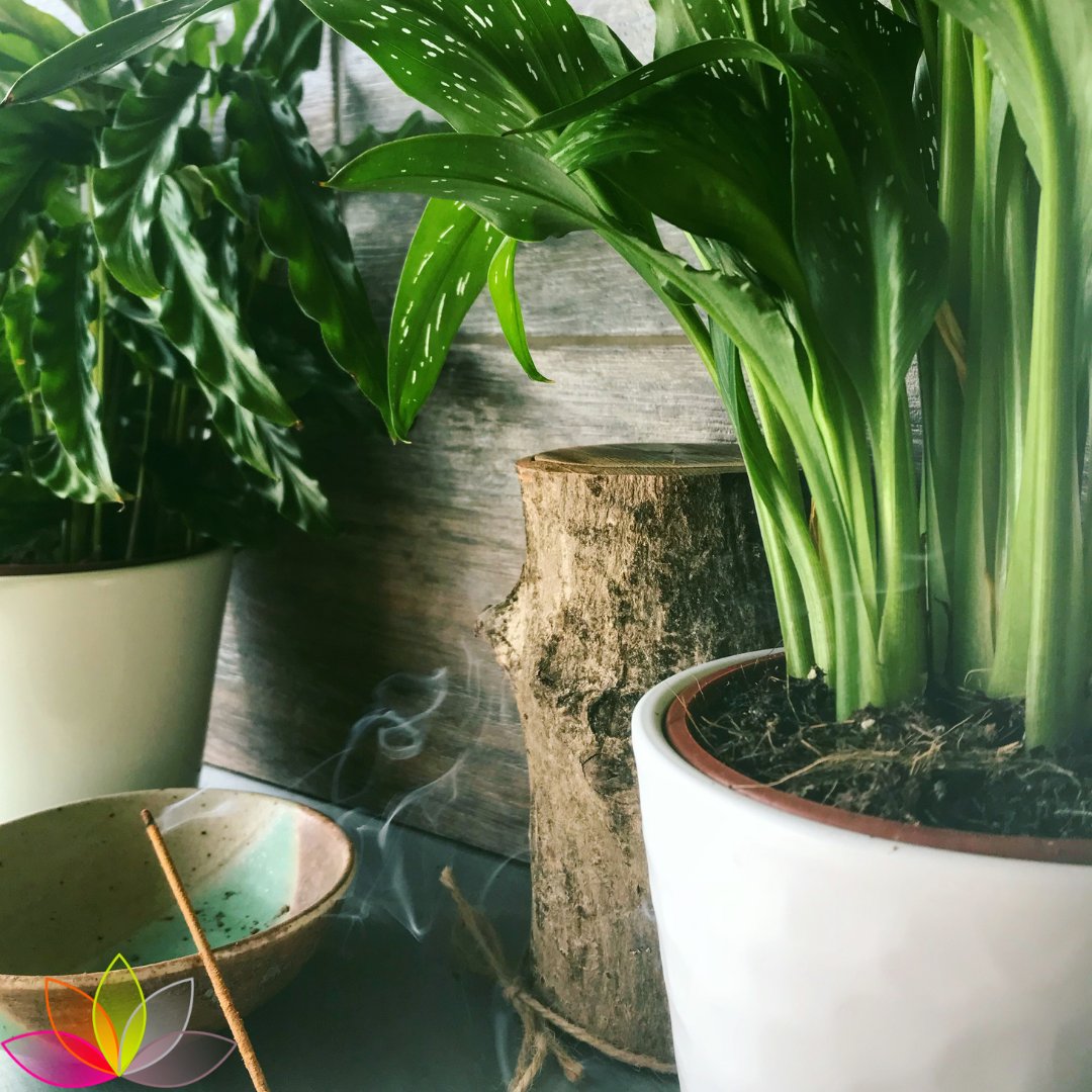 Feel Wellbeing tweet media