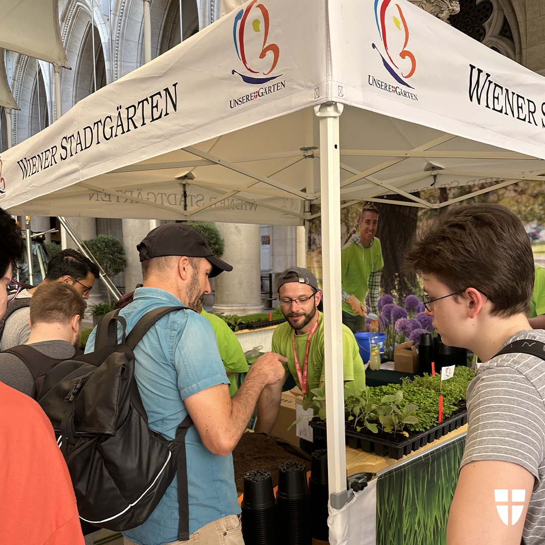 Stadt Wien on Twitter "Kommt heute noch bis 19 Uhr zur JOBmesse im