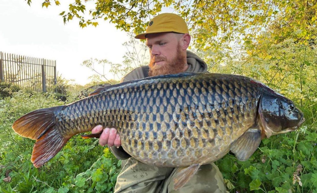 DannyGoldsmith5's tweet photo. 🚨walthamstow banger🚨 🔥PB 35LB
First time at the mega walthamstow and first fish to be a pb common 🎣
Clinga sp size 4 and 35lb hook link doing the damage
@Trakker_Carp
@CygnetTackle
#carp #walthamstow #cygnet #carpbasics #oceanfruits #pb #goingbackformore #TrakkerProducts https://t.co/QXPl2Adjas