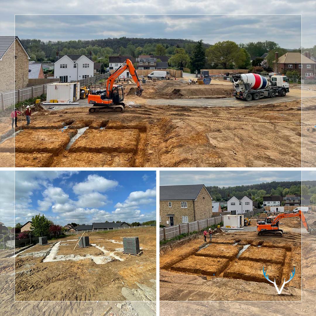 Peter David Homes tweet media