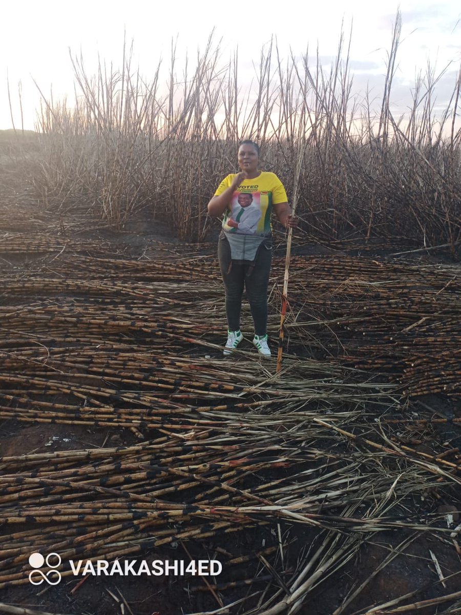 Varakashi4ED on Twitter "On the 20th of May 2023, Varakashi4ED