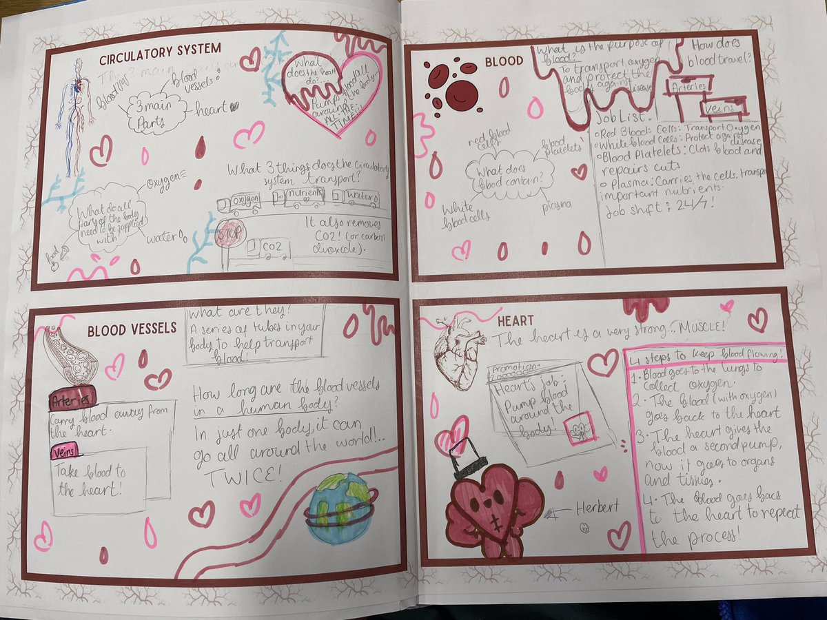 MowmacreHill's tweet image. Year 6 have loved beginning our new science enquiry line, all about the #circulatorysystem! We have used the internet to research the 3 parts of the circulatory system and looked at the journey of blood through the heart.