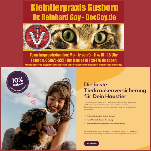 RT <a href="/docgoy/">Dr. Reinhard Goy</a>   Wie empfehlen mittlerweile jedem Tierhalter den Abschluss einer Tierkrankenversicherung. Hier eine Möglichkeit:  hund-katze-heimtier-kleintier.de/tierversicheru…  🐕🐈‍⬛🐇