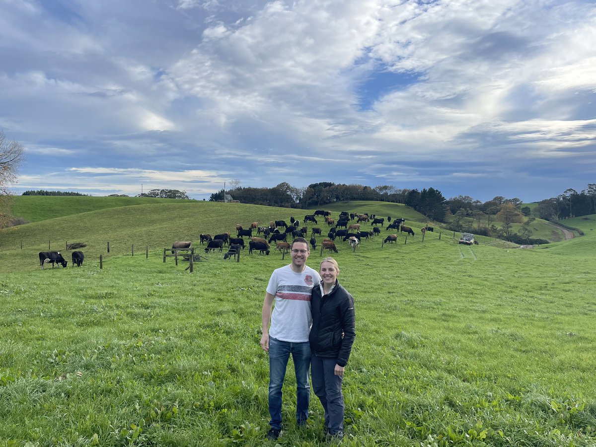 Mike_Dineen_'s tweet photo. Another awesome day in NZ. Thanks to Steve @halterHQ for taking great care of us. Also got to experience Kiwi farmers getting it done! https://t.co/999cqzKHiE