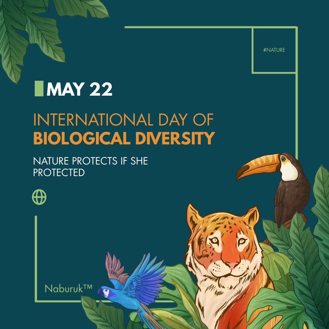 Look closely at nature. Every species is a masterpiece, exquisitely adapted to the particular environment in which it has survived. Who are we to destroy or even diminish biodiversity?
#BiodiversityDay 
 #ClimateEmergncy