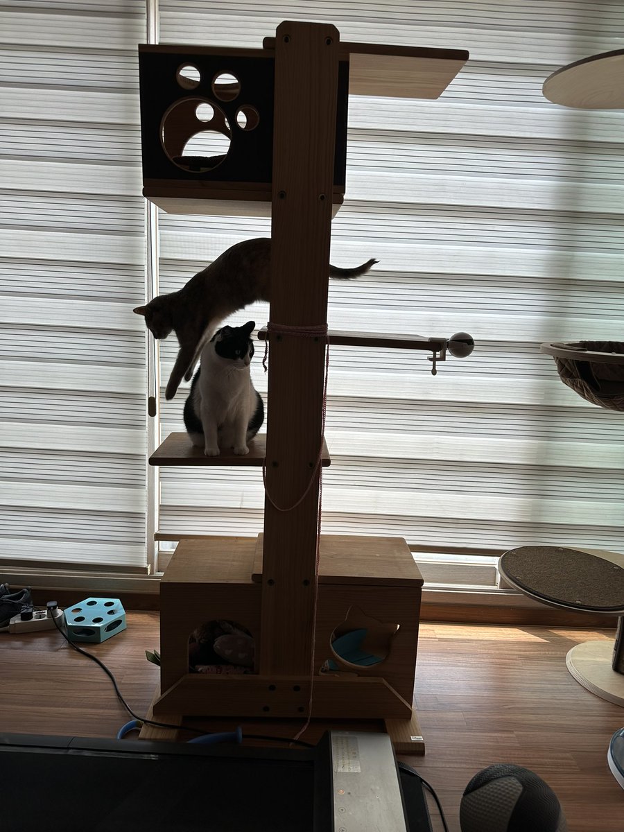 CatainKirk's tweet photo. 슝 https://t.co/E2AwzvKFmN