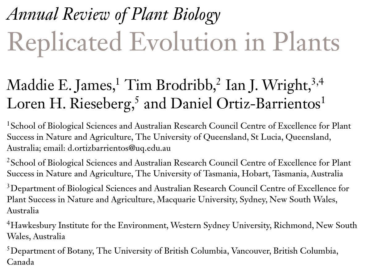 Daniel Ortiz-Barrientos (@dortizba) on Twitter photo 1/ We are excited to announce the publication of our (open access) review on replicated evolution in plants! You can read the full review here: annualreviews.org/doi/abs/10.114….
Huge props to the awesome team of <a href="/maddie_e_james/">Maddie James</a>, <a href="/ianjwright1/">Ian Wright</a>, Tim Brodribb, and Loren Rieseberg! 1/ We are excited to announce the publication of our (open access) review on replicated evolution in plants! You can read the full review here: annualreviews.org/doi/abs/10.114….
Huge props to the awesome team of <a href="/maddie_e_james/">Maddie James</a>, <a href="/ianjwright1/">Ian Wright</a>, Tim Brodribb, and Loren Rieseberg!