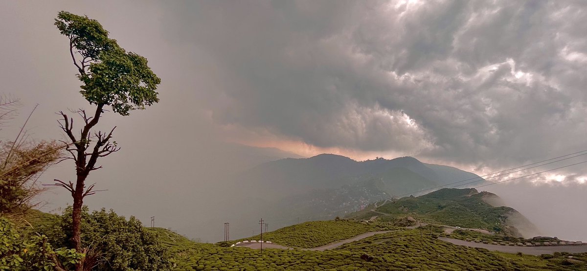 @NGTIndia  mesmerised by d view😍

Gidda pahar, Kurseong ,Darjeeling