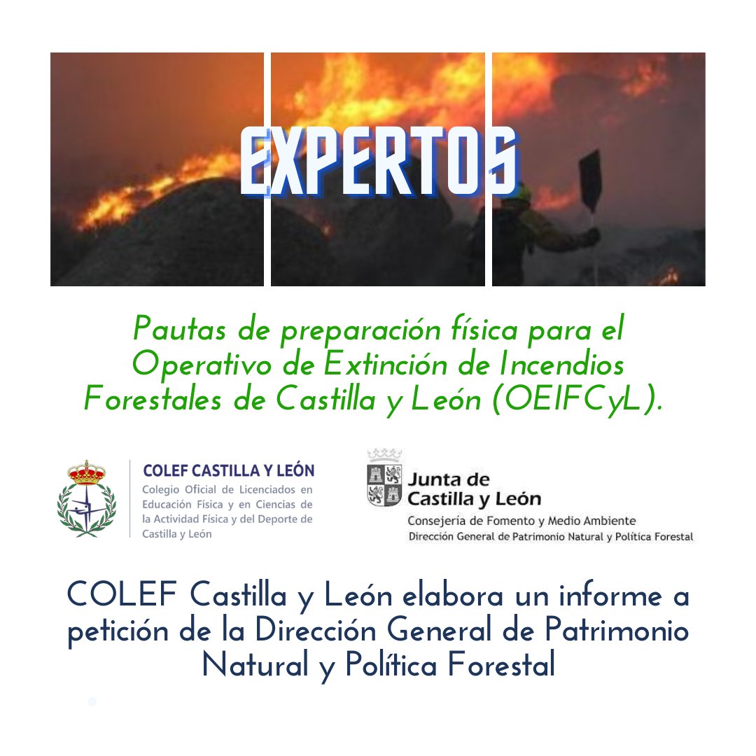 COLEF Castilla y León elabora un informe sobre las pautas de preparación física para el OEIFCyL solicitado por la Dirección General de Patrimonio Natural y Política Forestal (Consejería de Medio Ambiente, Vivienda y Ordenación Territorio) de la Junta de Castilla y León. <a href="/jcyl/">Junta de Castilla y León</a>
