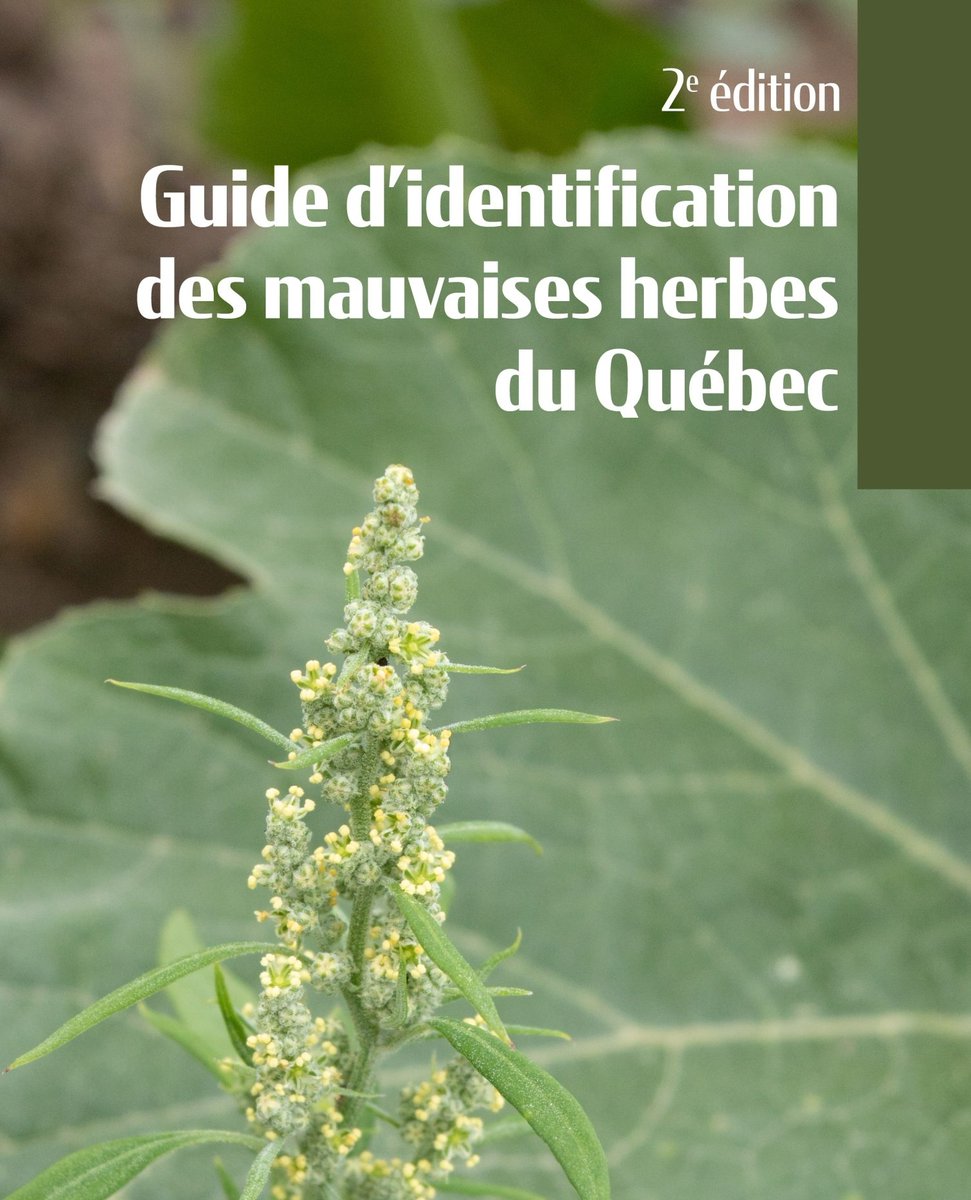 LeBulletin_com's tweet photo. Une nouvelle édition du Guide d'identification des mauvaises herbes du Québec en 25 ans!
Toute l'info et le lien pour vous le procurer ici: https://t.co/N8JIw8VWlr
#mauvaisesherbes #adventices #amarantetuberculee #mapaq #craaq https://t.co/7mz91zF9Q2