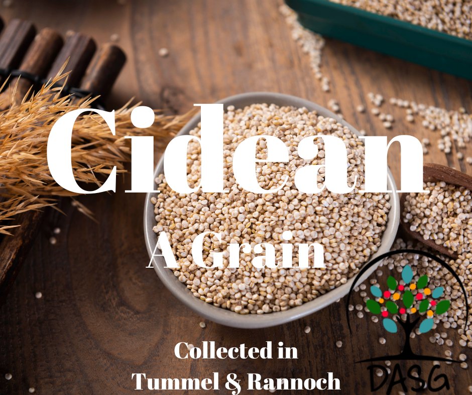 lght.ly/jjpp03b
🌱
CIDEAN - A GRAIN
🌾
#Cidean #Gràn #Grain #Tuathanachas #Farming #Feirmeoireacht
👨‍🌾
#LochTummel #Rannoch #Raineach #RannochMoor #KinlochRannoch
#SiorrachdPheairt
-
#Alba #Scotland
#Gàidhlig #Gaelic #ScottishGaelic
#DigitalArchiveofScottishGaelic #DASG