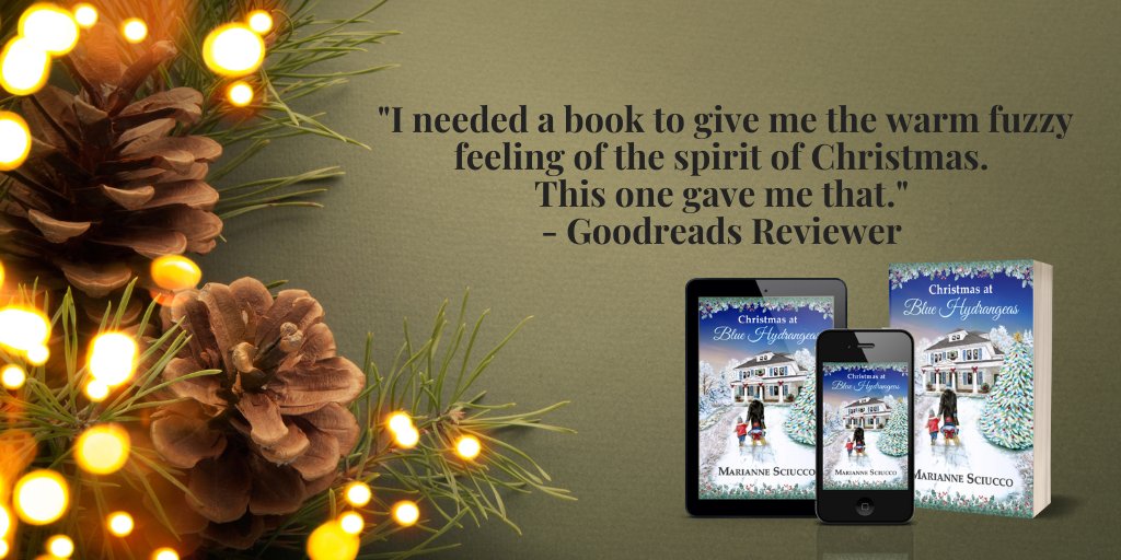 While innkeeper Sara waits for her husband and son to arrive home Christmas Eve, a surprise blizzard threatens to close the bridges, stranding all travelers to and from Cape Cod. 'This story will pull on your heart. Have Kleenex nearby.' #ChristmasReads books2read.com/u/bwqYpe