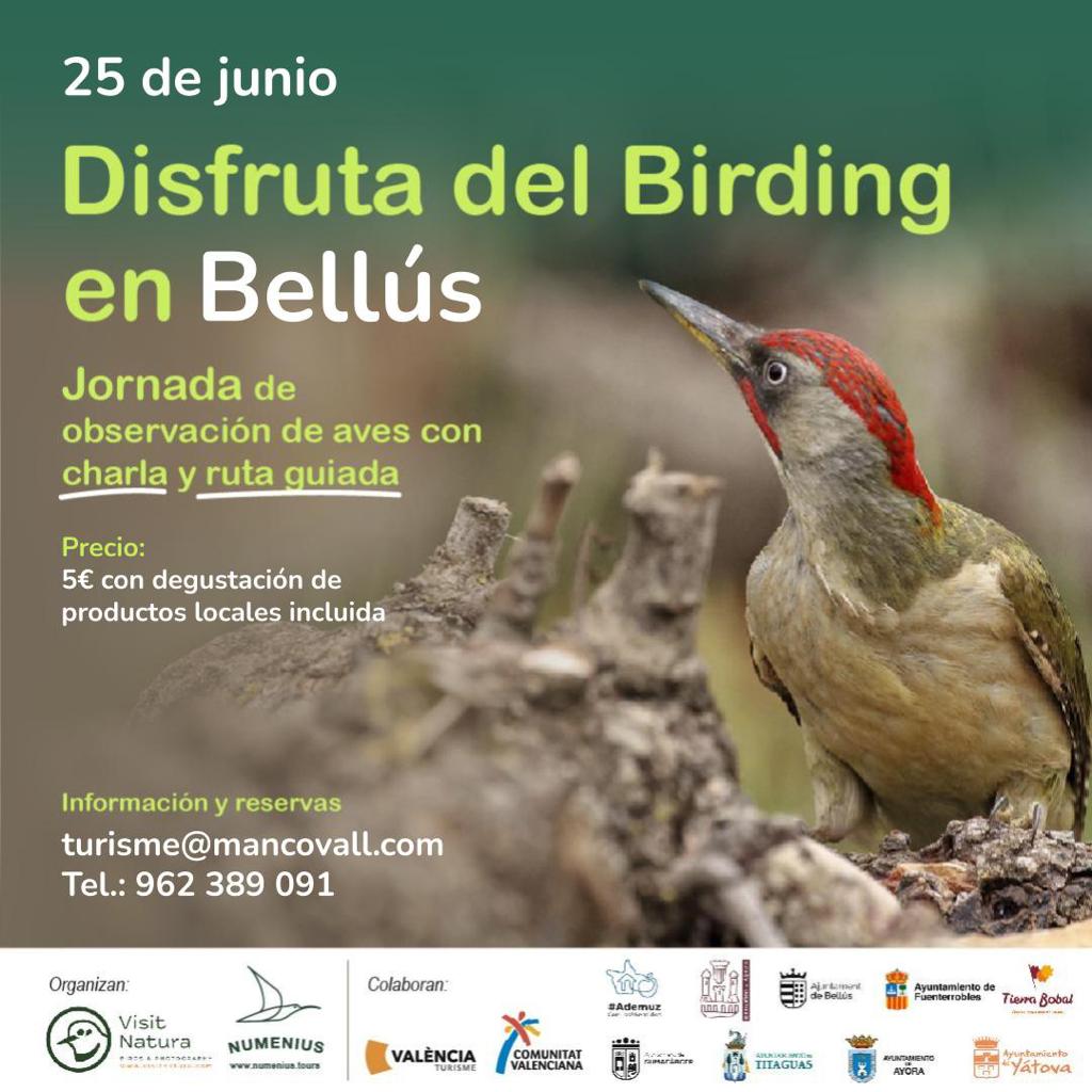 ¡Ya puedes reservar tu plaza en la Jornada de observación de aves en #Bellús! Será el 25 de junio.
☎️96 2389091 📧 turisme@mancovall.com
@VisitNatura @Numenius_tours 
#València #Valènciaturisme #ComunitatValenciana