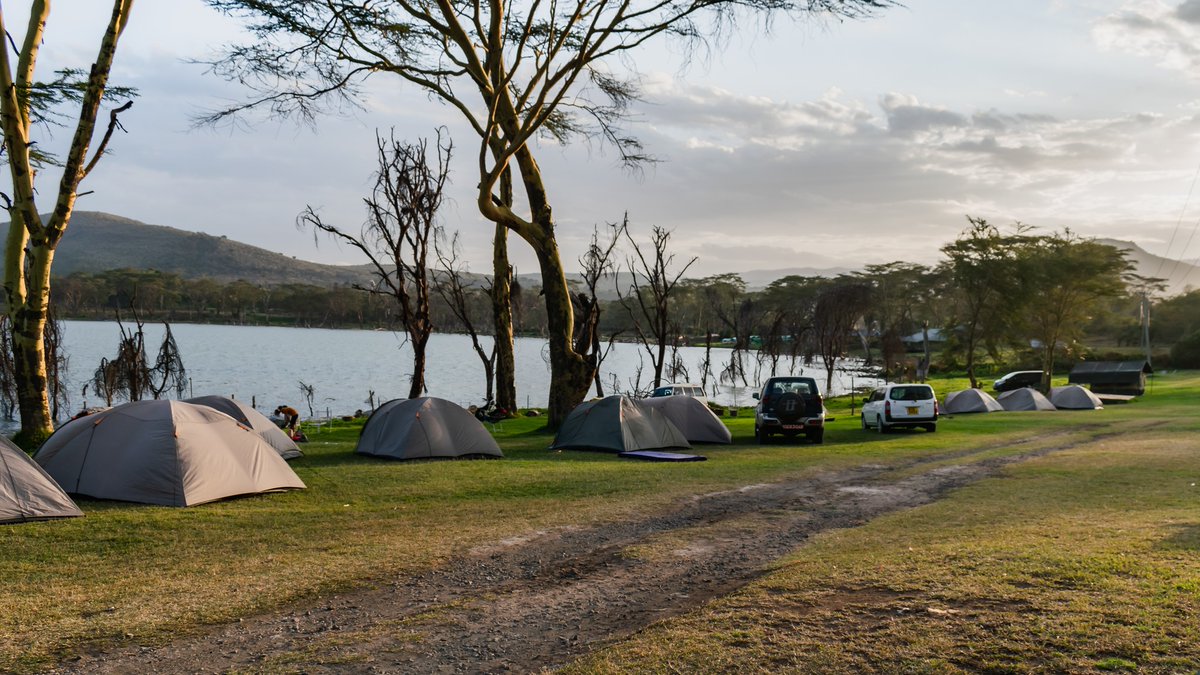 Drift into Oloiden campsite oloidencamp.com for the ultimate camping experience. Book your tents now! Call 0707156146 | 0707394384 | 0708798075 or WhatsApp 0706432975 #RallyFun #WRC #SafariRallyKenya #rally #RoadToWRC #oloidencampsite #campinnaivasha #events