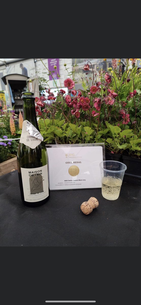 ProctorsNursery's tweet photo. We have achieved one of the highest accolades in the horticultural industry, with a @The_RHS Chelsea Gold Medal .  Plus we have 3 excellents from the judges and for our first attempt, it doesn''t come much better than that!!!! 

#chelseaflowershow2023
#goldmedal 
#horticulture https://t.co/fmArwMw30M