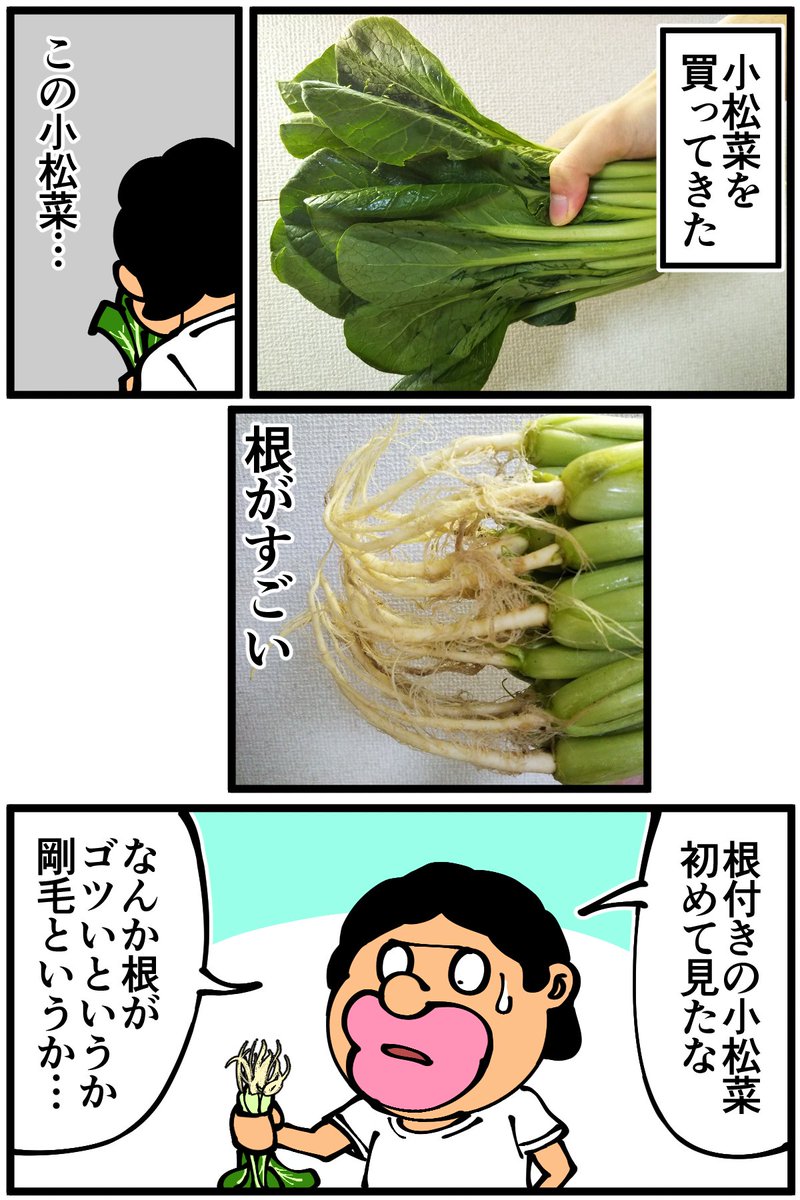 LINE Monaryさんで描かせていただいている漫画、第8話が更新されました! 小松菜の根を食べてみる奇行回ですが下記のURLから全編読めるのでご覧いただけたら幸いです! 