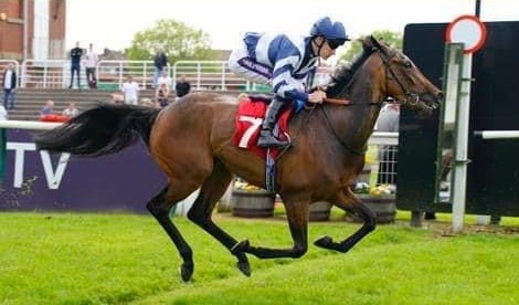 Peter Muscutt Racing (@petermuscutt) on Twitter photo The Muscutts do it again, this time a QUARTET...
Trusova
Alphabetty
Aurora Storm
Senesi <a href="/D_Muscutttt/">Dan Muscutt</a>
Great pics <a href="/CandiesePhoto/">Candiese Lenferna</a> The Muscutts do it again, this time a QUARTET...
Trusova
Alphabetty
Aurora Storm
Senesi <a href="/D_Muscutttt/">Dan Muscutt</a>
Great pics <a href="/CandiesePhoto/">Candiese Lenferna</a>