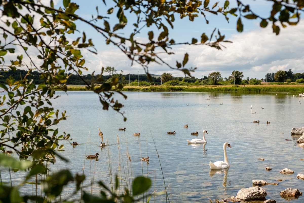 Loughrea Lake is a limestone lake located south of Loughrea. Its stunning beach is a designated Natural Heritage Area (NHA) and a Blue Flag recipient seven years in a row. With an inland bathing area, Loughrea Lake makes a great place to enjoy the sunshine. 
#VisitGalway