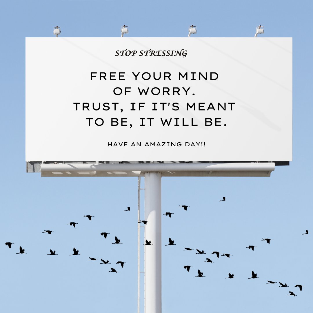 VioletTheNotary's tweet image. Today is terrific Tuesday!
Free your mind! Trust the process! 
Go out and do something fun for just you. 
#notarypublic #Tuesday #signingagent #servingthecommunity