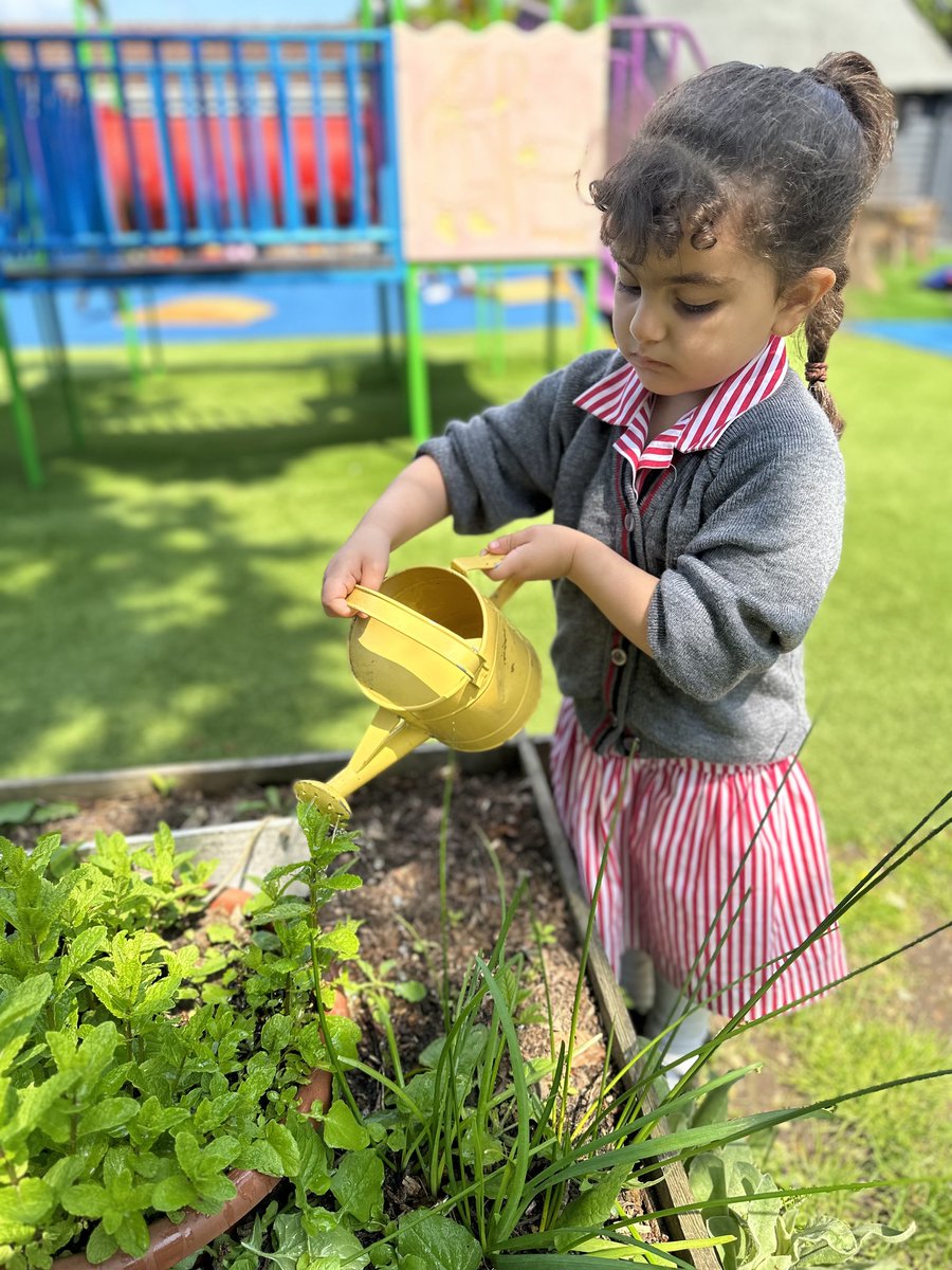 Red Kite Days tweet media