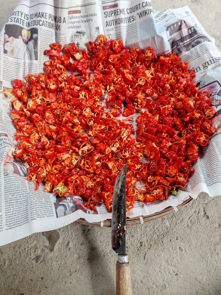 utpal ozah🦏 tweet media