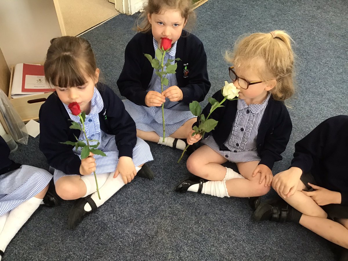 MrsRushbyKPA's tweet photo. We are loving learning about different plants and flowers this week, we had a close look at some different flowers, identifying the leaves, stem and where the pollen can be found! #keelbyprimary #keelbyeyfs #keelbyscience https://t.co/ibCwAB9QWx