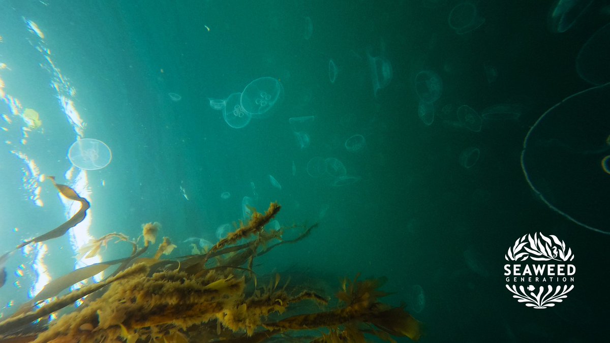 Happy #BiodiversityDay ! 🐠

Monitoring the impacts of human influences on the ocean is essential, that’s why we're working with @swmull_iona on a new @innovateuk funded project to improve off-shore biodiversity monitoring to support #GlobalBiodiversityFramework targets. 

Find…