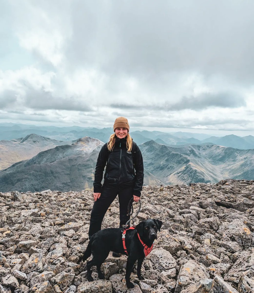 Emma Hamilton tweet media