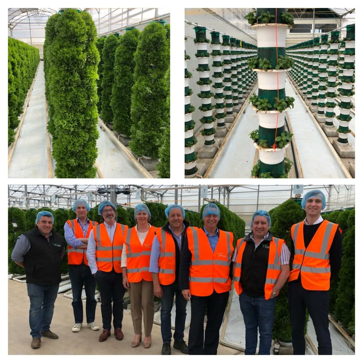 Nigel Huddleston MP (@huddlestonnigel) on Twitter photo Had a great visit to <a href="/Valefresco/">Valefresco</a> based in Offenham along with Lloyds Bank.
We had a fantastic tour of their impressive vertical salad crop growing facilities and discussed the opportunities and challenges facing the sector. Had a great visit to <a href="/Valefresco/">Valefresco</a> based in Offenham along with Lloyds Bank.
We had a fantastic tour of their impressive vertical salad crop growing facilities and discussed the opportunities and challenges facing the sector.