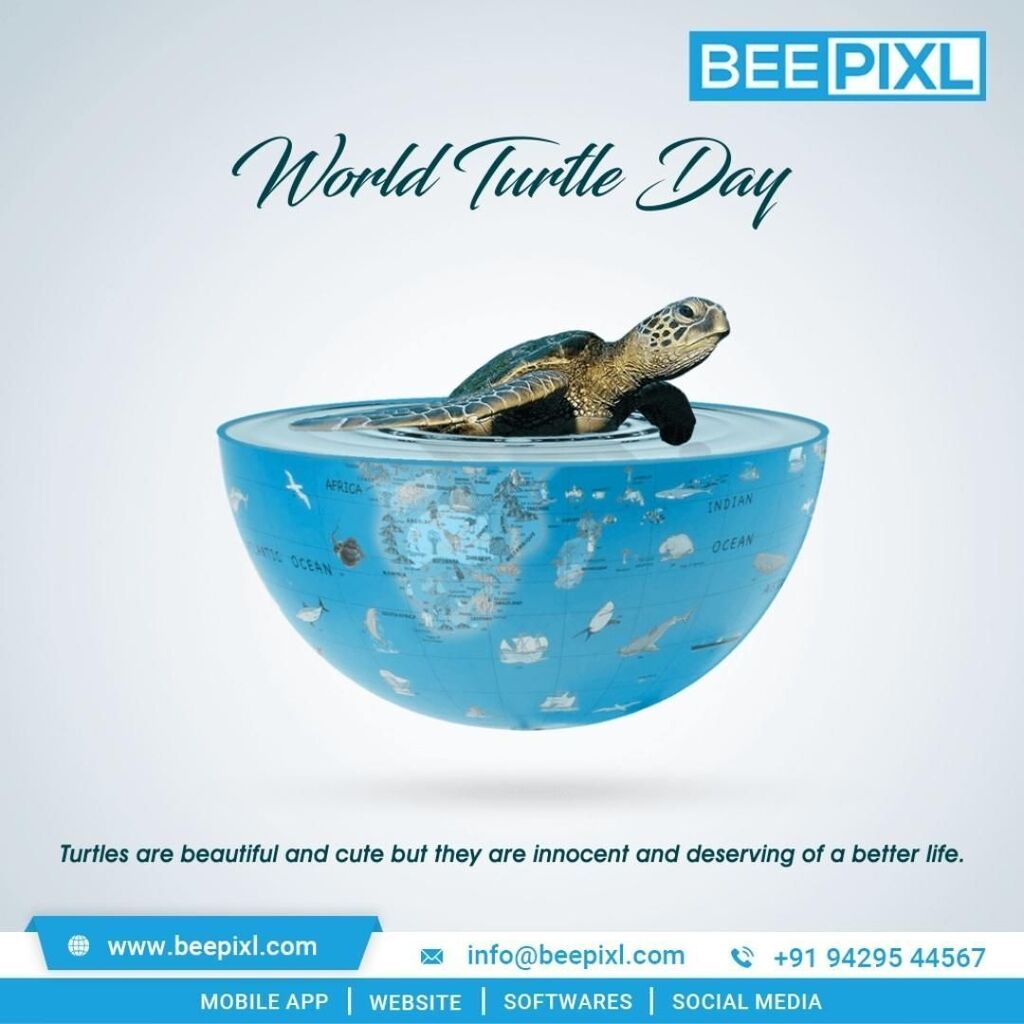 Take a walk with a turtle. And behold the world in pause.

#worldturtleday #beepixl instagr.am/p/CslXN7suGyG/