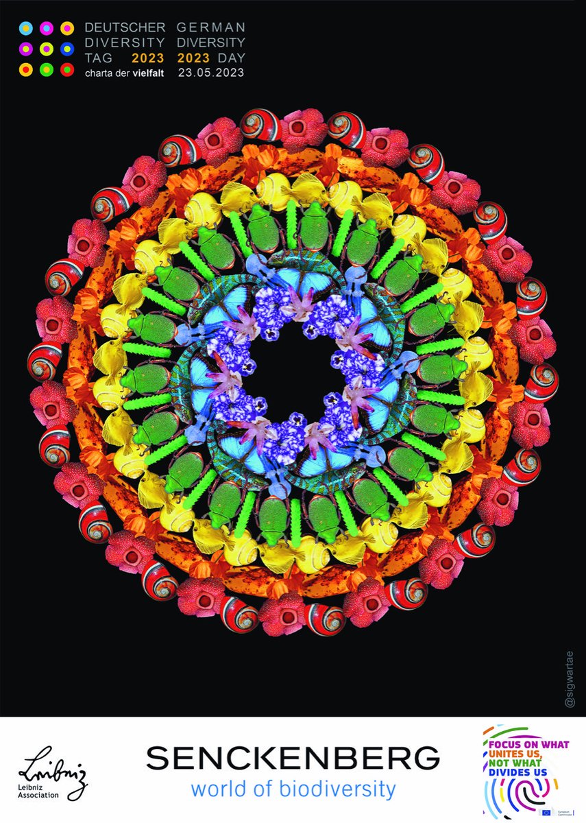 SOSA (@oceanspecies_) on Twitter photo Happy #DiversityDay in Germany!
We love the variety of marine species and we believe in #diversity in the workspace.
We stand for a colorful and diverse world.
โค๏ธ๐งก๐๐๐
PS: The beautiful poster was designed by our co-chair <a href="/sigwartae/">Julia Sigwart</a>
#DDT23 #Vielfaltverbindet
@ChartaVielfalt Happy #DiversityDay in Germany!
We love the variety of marine species and we believe in #diversity in the workspace.
We stand for a colorful and diverse world.
โค๏ธ๐งก๐๐๐
PS: The beautiful poster was designed by our co-chair <a href="/sigwartae/">Julia Sigwart</a>
#DDT23 #Vielfaltverbindet
@ChartaVielfalt
