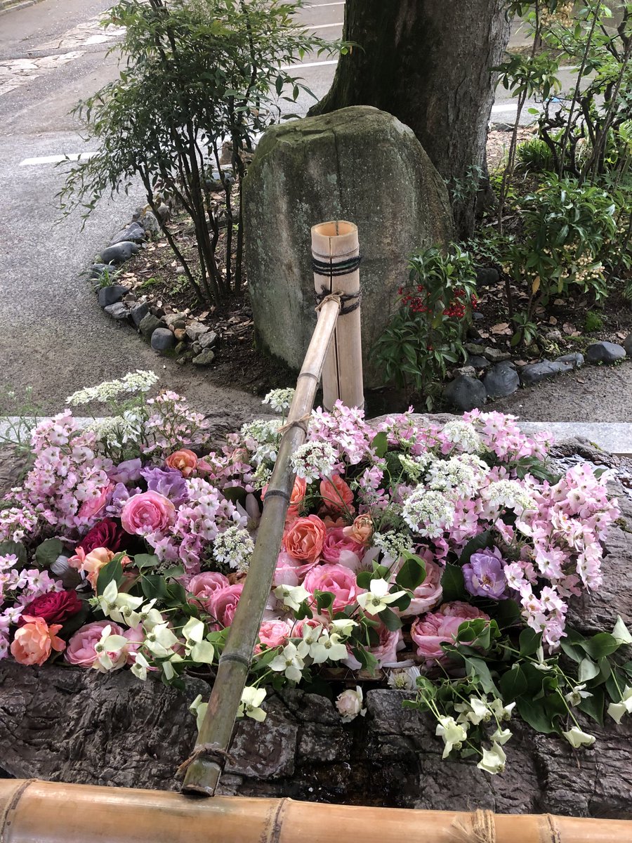 p32qbFfeazYBoMe's tweet photo. 今日も和やかに

終わりました

あたたかいんだが

風が強くて

のれんが春風の　悪戯

爽やかじゃないから

竿ごと　落ちたりして

台風が近づいて来る

らしいから対策しないとね

えびす湯

明日はお休みです

また木曜日に

お待ちしてます。

ありがとうございます😊🙏

薔薇🌹綺麗ね🌹❤️💕 https://t.co/4cDf8QTLyk