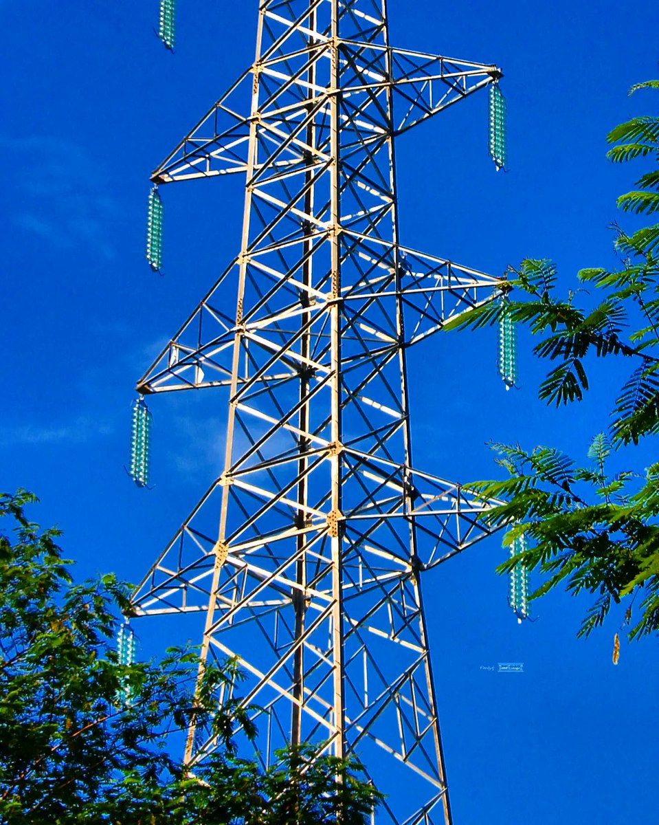 WHATs Power Lines tweet media