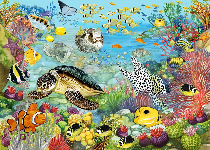 foartist's tweet photo. It's World Turtle Day today! Watercolour underwater scene I've illustrated that would be great for a puzzle! #turtle #worldturtleday #watercolour #illustration #artistsoninstagram #artist #illustration #naturalhistoryillustration #fionaosbaldstoneillustrator https://t.co/XiCjSlhhow