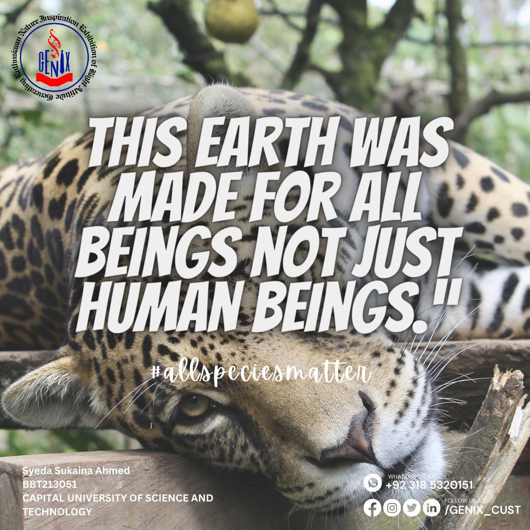 Wilderness is a sanctuary for nature's wonders. Let's join hands to protect and preserve these precious havens of biodiversity. #SaveWilderness 
#genixcust 
#genixsociety
 #allspeciesmatter