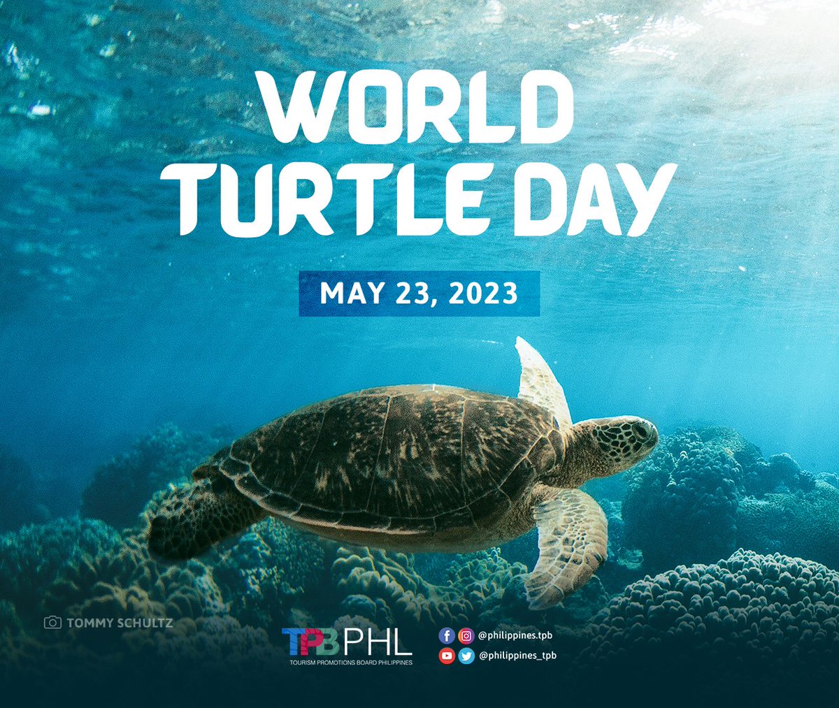 philippines_tpb's tweet image. This #WorldTurtleDay, we are reminded of our responsibility to safeguard turtle habitats and encourage sustainable practices to ensure that these creatures continue to thrive.

How are you going to pay tribute to these hard-shelled beauties?🐢

#TurtleDay #tpbgovph