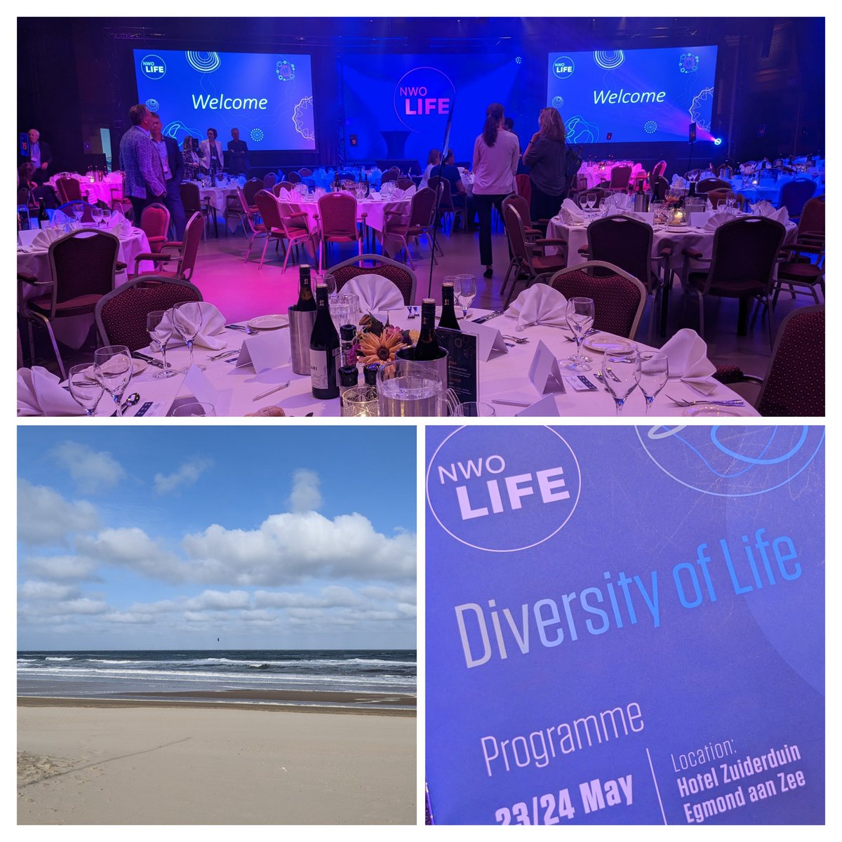 mkutmon's tweet image. Excited to join #NWOLife this year! I already enjoyed the dinner discussions yesterday, a walk on the beach this morning and the first keynote by Frans de Waal! 
I am also excited to give a talk tomorrow about @WikiPathways and the COVID-19 Disease Map project in track 5.