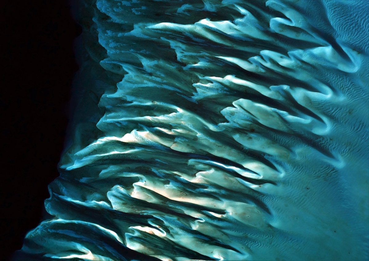 We're excited to be one of the 20 shortlisted images for the 3rd Annual Helmholtz Imaging Conference! You could all read more about and vote for our image (ID:119), depicting the lush and carbon-dense Bahamian seagrasses here: awards.helmholtz-imaging.de/entry/vote/lga….