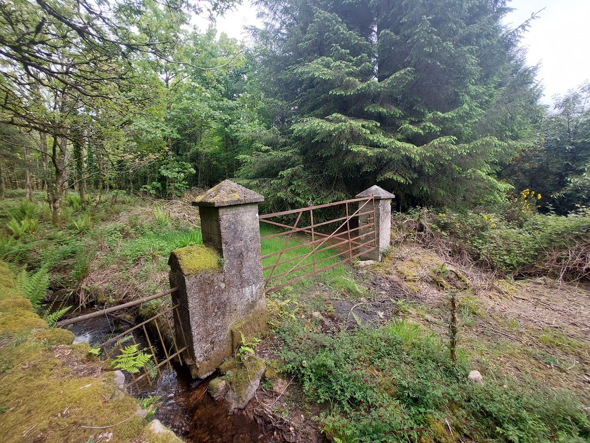 Reframe Landscape tweet media