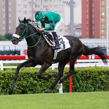 Raven Shadow tweet media