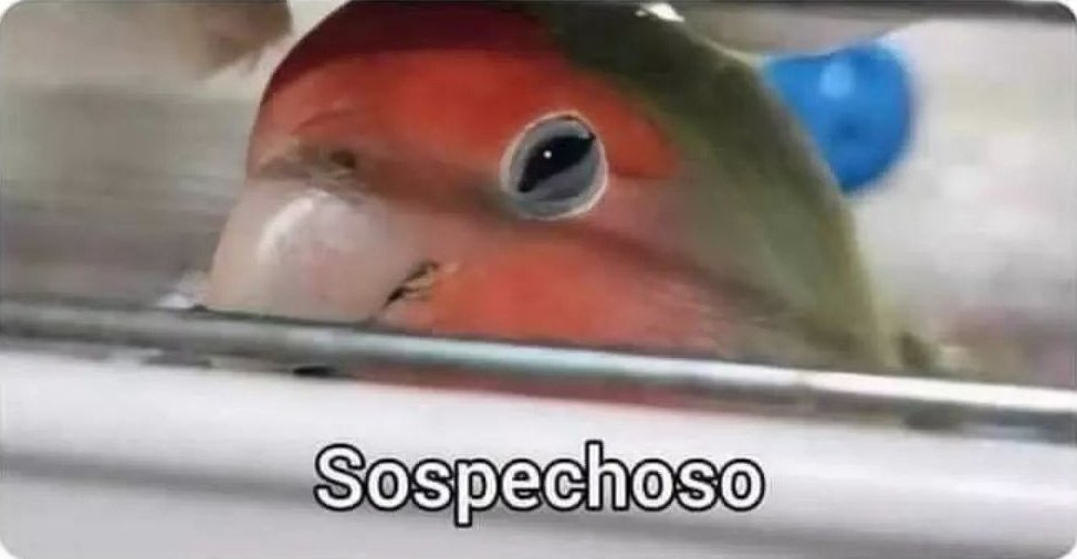 me va bien durante 5 días
yo: