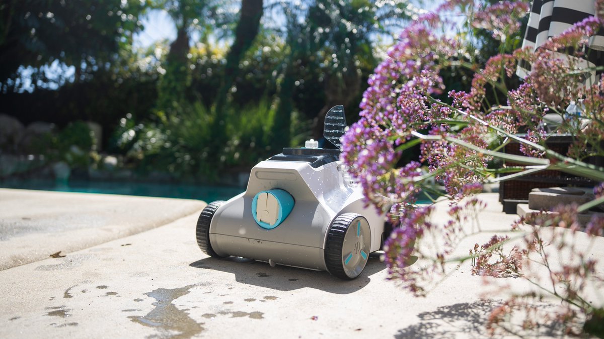 Ofuzzi Official tweet media