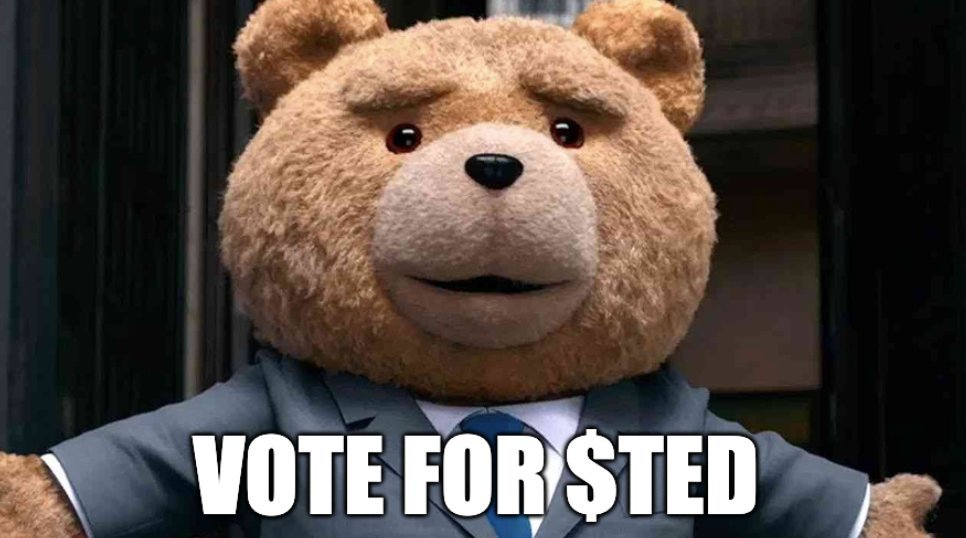 Ted 🐻 tweet media