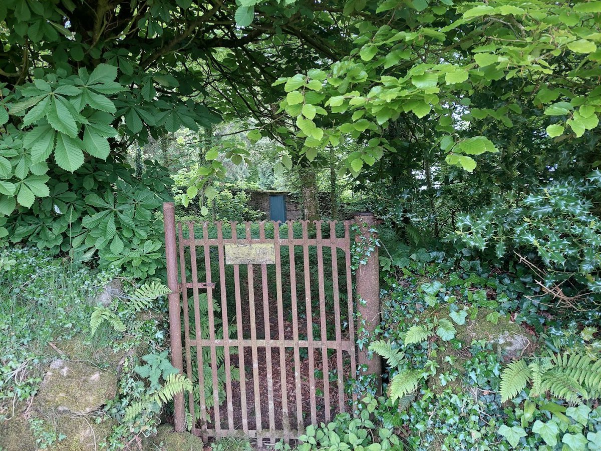 Reframe Landscape tweet media