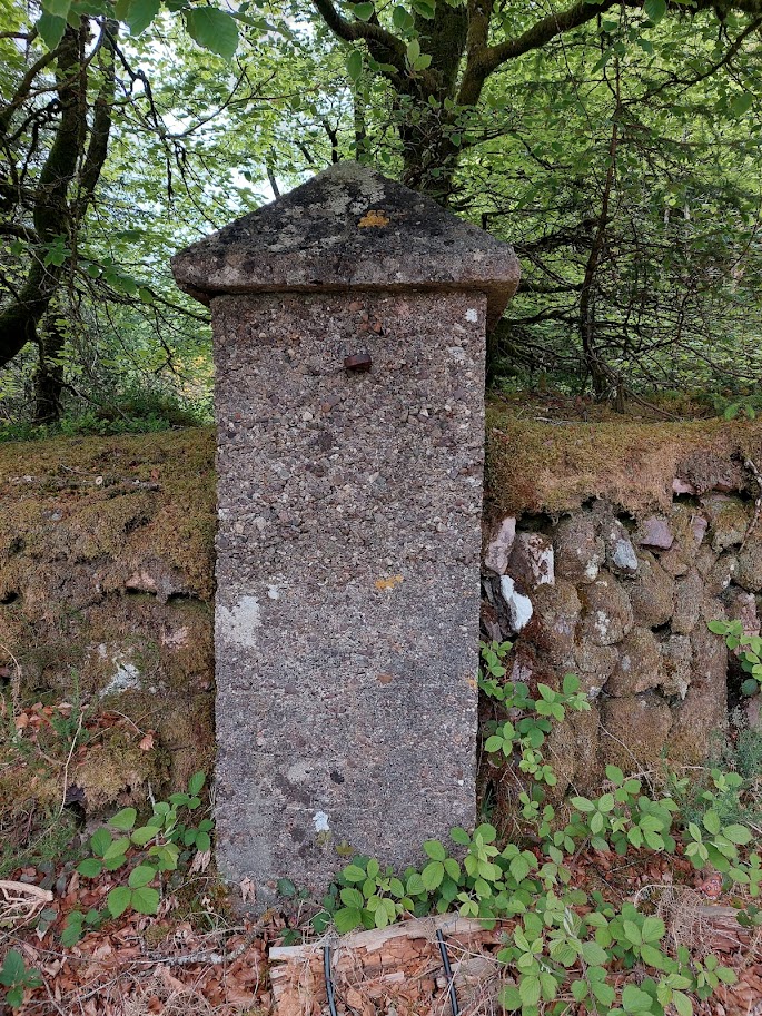 Reframe Landscape tweet media