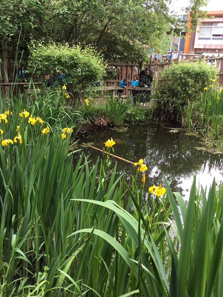 BJ_Inclusion's tweet photo. Rachel's year 1 group went to visit the school pond before we start The Bog Baby next half term @BJ_Year1 @BenJonsonSchool https://t.co/W0eHPXTXGY