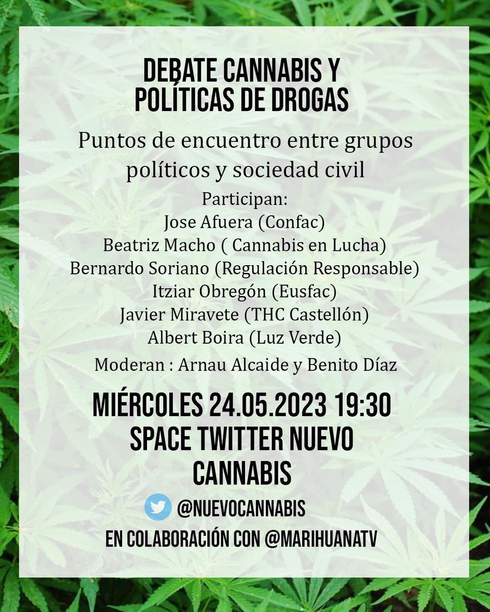 Nuevo Cannabis tweet media